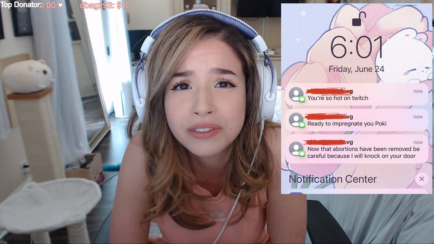 Pokimane Roe v. Wade